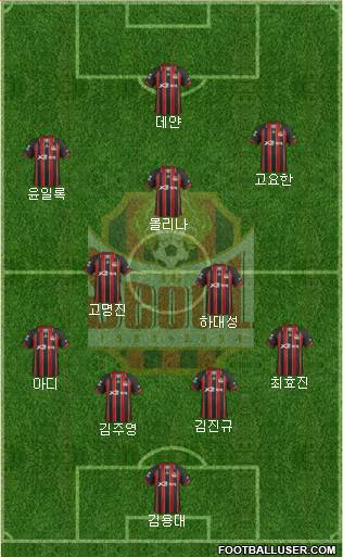 FC Seoul Formation 2013