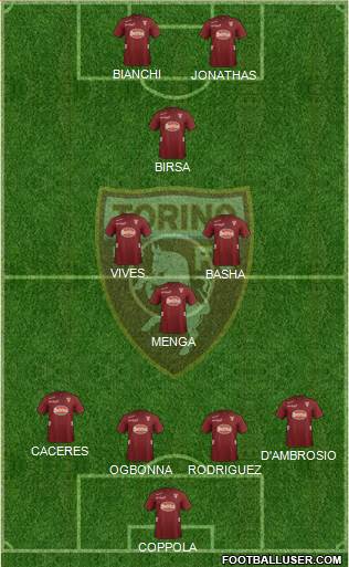 Torino Formation 2013