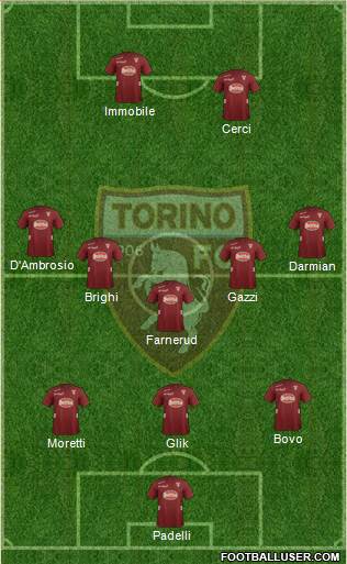 Torino Formation 2013