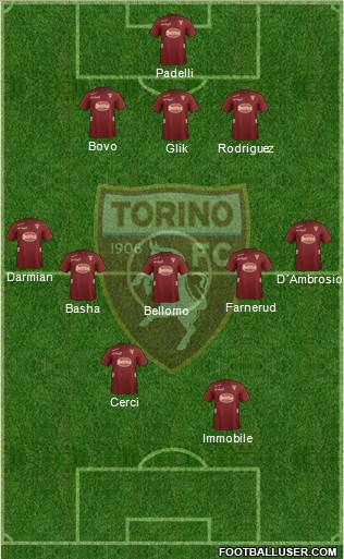 Torino Formation 2013