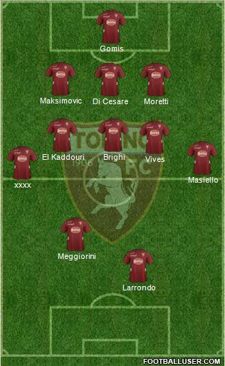 Torino Formation 2013