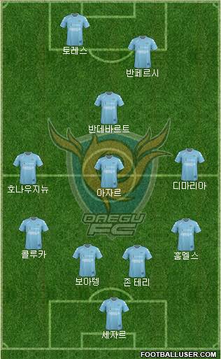 Daegu FC Formation 2013