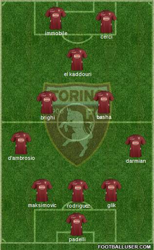 Torino Formation 2013