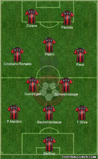 OGC Nice Côte d'Azur Formation 2013