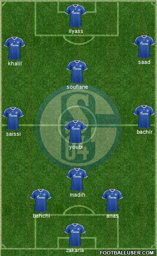 FC Schalke 04 Formation 2013