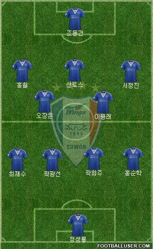 Suwon Samsung Blue Wings Formation 2013