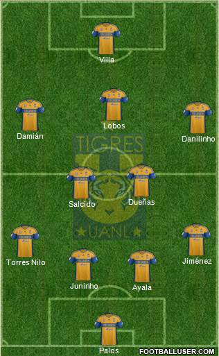 Club Universitario de Nuevo León Formation 2013