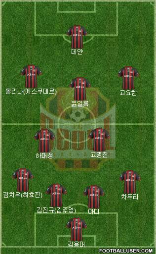 FC Seoul Formation 2013