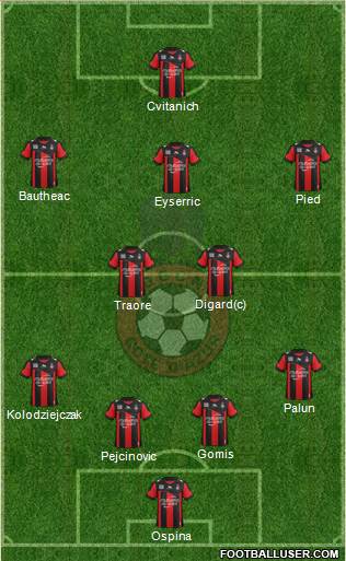 OGC Nice Côte d'Azur Formation 2013