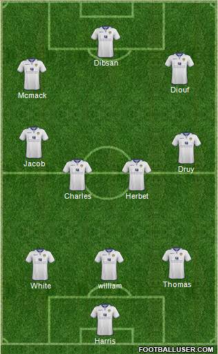 Leeds United Formation 2013