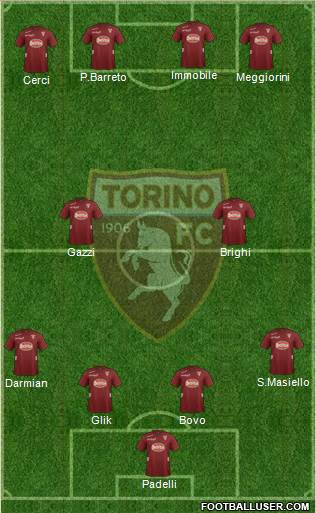 Torino Formation 2013