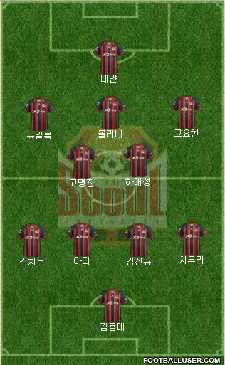 FC Seoul Formation 2013