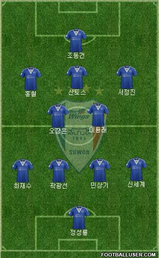 Suwon Samsung Blue Wings Formation 2013