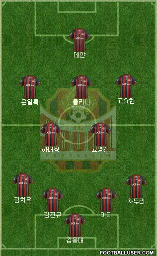 FC Seoul Formation 2013