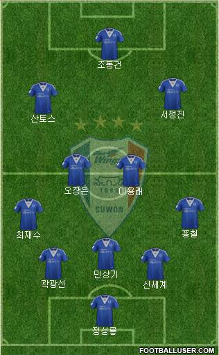 Suwon Samsung Blue Wings Formation 2013