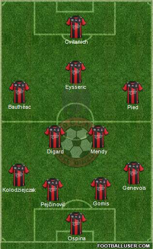 OGC Nice Côte d'Azur Formation 2013