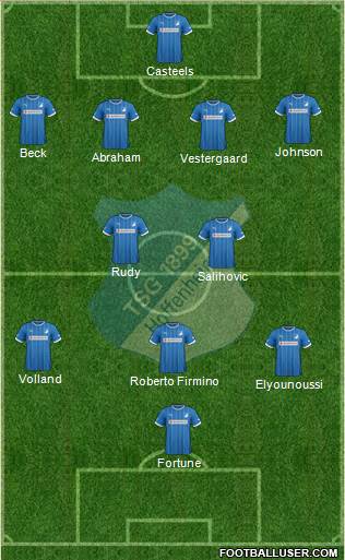 TSG 1899 Hoffenheim Formation 2013