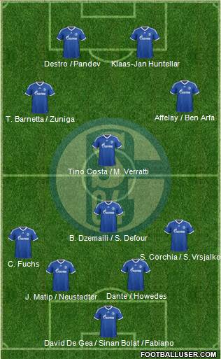 FC Schalke 04 Formation 2013