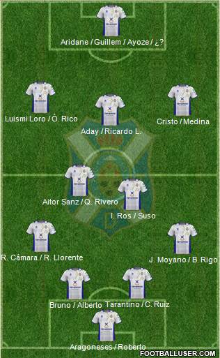 C.D. Tenerife S.A.D. Formation 2013