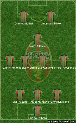 Ternana Formation 2013