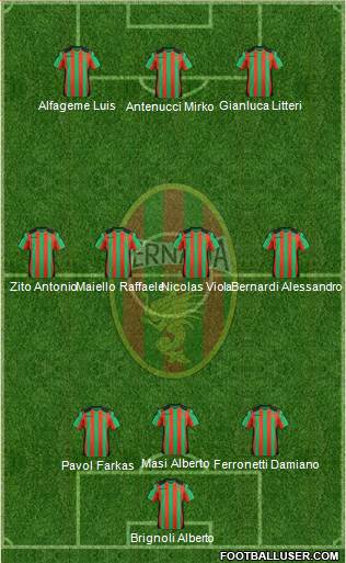 Ternana Formation 2013