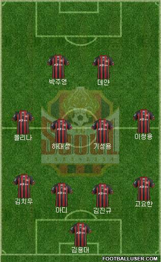 FC Seoul Formation 2013