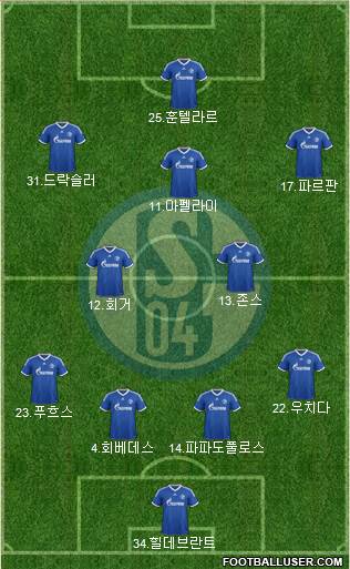 FC Schalke 04 Formation 2013