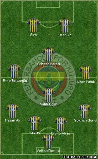 Fenerbahçe SK Formation 2013