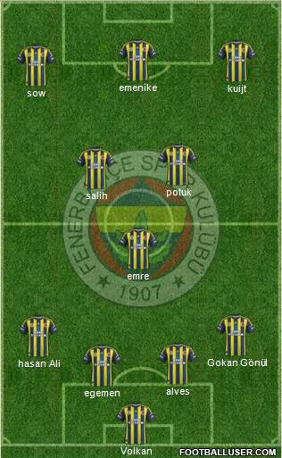 Fenerbahçe SK Formation 2013