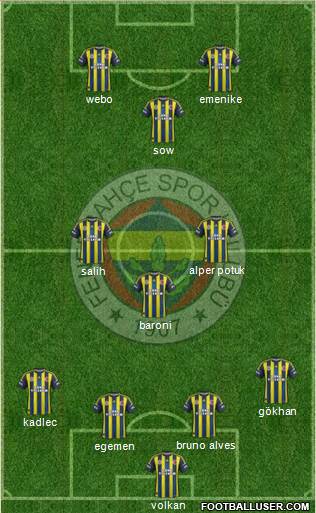 Fenerbahçe SK Formation 2013