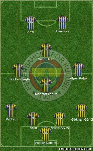 Fenerbahçe SK Formation 2013