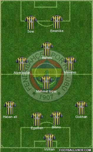 Fenerbahçe SK Formation 2013