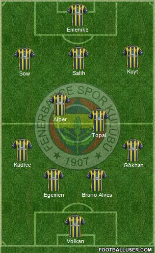 Fenerbahçe SK Formation 2013