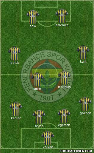 Fenerbahçe SK Formation 2013