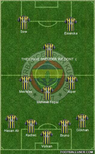 Fenerbahçe SK Formation 2013