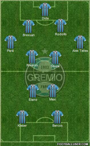 Grêmio FBPA Formation 2013