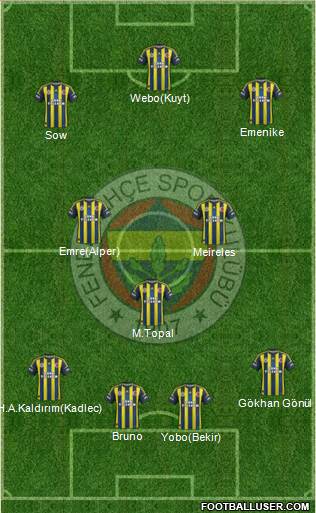 Fenerbahçe SK Formation 2013