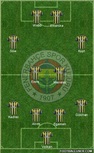 Fenerbahçe SK Formation 2013