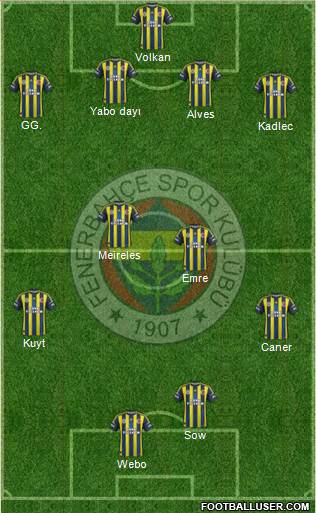 Fenerbahçe SK Formation 2013