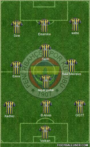 Fenerbahçe SK Formation 2013