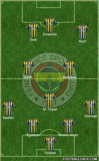 Fenerbahçe SK Formation 2013