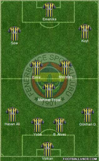 Fenerbahçe SK Formation 2013