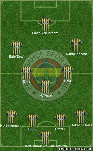 Fenerbahçe SK Formation 2013