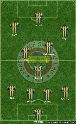 Fenerbahçe SK Formation 2013