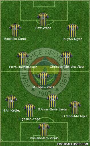 Fenerbahçe SK Formation 2013