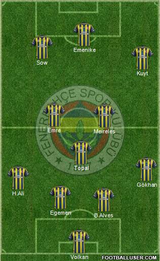 Fenerbahçe SK Formation 2013