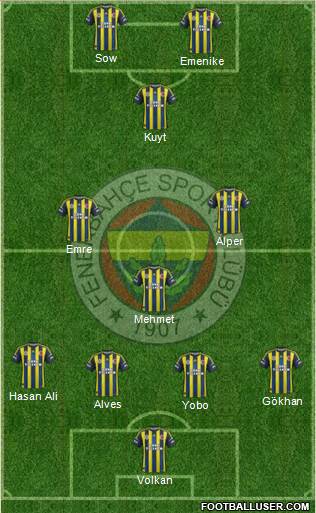 Fenerbahçe SK Formation 2013