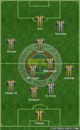 Fenerbahçe SK Formation 2013