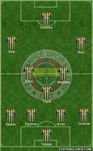 Fenerbahçe SK Formation 2013