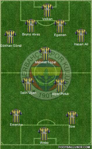 Fenerbahçe SK Formation 2013